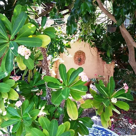 Bed & Breakfast Le Terrazze *