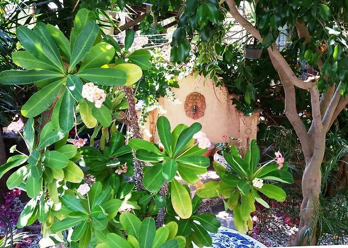 לינה וארוחת בוקר Le Terrazze *